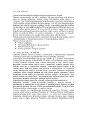 Politinė sistema Lietuvoje