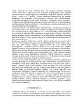 Politinė sistema Lietuvoje 3 puslapis