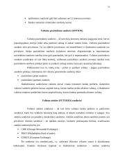 Valiutų rinkos 12 puslapis