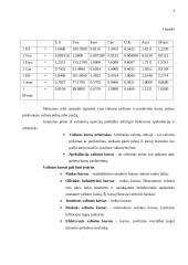 Valiutų rinkos 3 puslapis