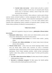 Valiutų rinkos 6 puslapis