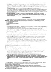 Valstybės ir teisės teorijos disciplina 17 puslapis