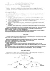 Valstybės ir teisės teorijos disciplina 7 puslapis