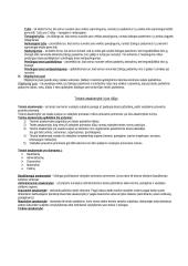 Valstybės ir teisės teorijos disciplina 10 puslapis