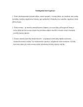 Valstybės ir teisės teorijos samprata ir esmė 4 puslapis