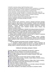Valstybės tarnautojai 2 puslapis