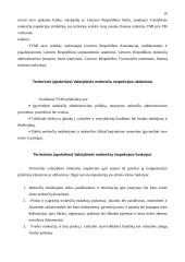 Valstybinė mokesčių inspekcija 19 puslapis