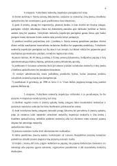 Valstybinė mokesčių inspekcija 4 puslapis