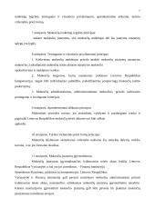 Valstybinė mokesčių inspekcija 7 puslapis