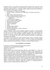 Verslo ekonomikos įvadas 12 puslapis