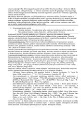 Verslo finansai egzaminui 2 puslapis