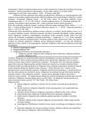 Verslo finansai egzaminui 4 puslapis