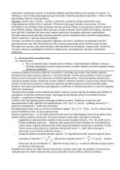 Verslo finansai egzaminui 7 puslapis