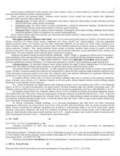 Verslo ir finansinė rizika. Kapitalo kaštai 2 puslapis