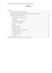 Verslo plano rašymo metodiniai nurodymai 2 puslapis