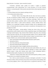 Verslo plano rašymo metodiniai nurodymai 11 puslapis