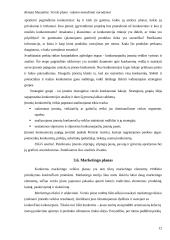 Verslo plano rašymo metodiniai nurodymai 12 puslapis