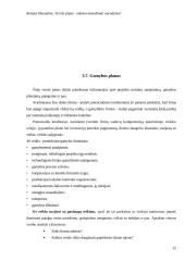 Verslo plano rašymo metodiniai nurodymai 15 puslapis