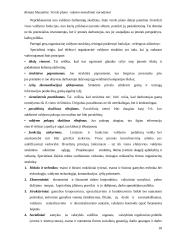 Verslo plano rašymo metodiniai nurodymai 18 puslapis