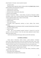 Verslo plano rašymo metodiniai nurodymai 19 puslapis