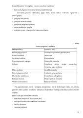 Verslo plano rašymo metodiniai nurodymai 20 puslapis