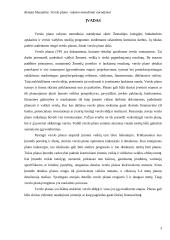 Verslo plano rašymo metodiniai nurodymai 3 puslapis