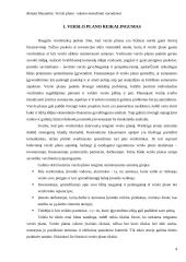 Verslo plano rašymo metodiniai nurodymai 4 puslapis