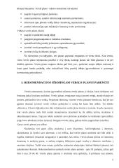 Verslo plano rašymo metodiniai nurodymai 5 puslapis