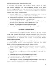 Verslo plano rašymo metodiniai nurodymai 9 puslapis