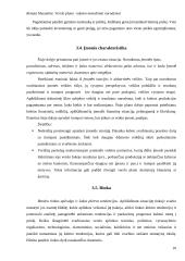 Verslo plano rašymo metodiniai nurodymai 10 puslapis