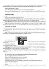 Verslo telekomunikacijos 14 puslapis