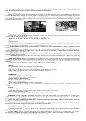 Verslo telekomunikacijos 15 puslapis