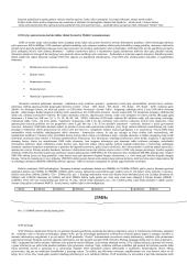 Verslo telekomunikacijos 17 puslapis