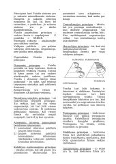 Verslo vadyba 2 puslapis