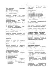 Verslo vadyba 13 puslapis