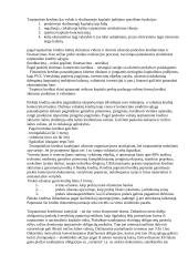 Verslo vadyba ir organizacijų tipai 3 puslapis