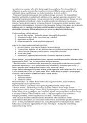 Verslo vadyba ir organizacijų tipai 4 puslapis