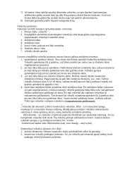 Verslo vadyba ir organizacijų tipai 7 puslapis