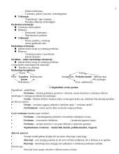 Verslumas ir marketingas 2 puslapis