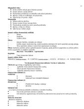 Verslumas ir marketingas 11 puslapis