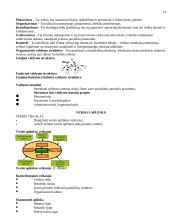Verslumas ir marketingas 14 puslapis
