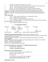 Verslumas ir marketingas 16 puslapis