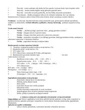 Verslumas ir marketingas 3 puslapis