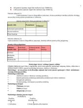 Verslumas ir marketingas 7 puslapis
