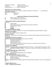 Verslumas ir marketingas 8 puslapis