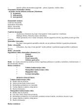 Verslumas ir marketingas 10 puslapis