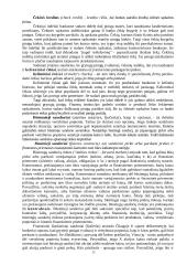 Vertybiniai popieriai šiuolaikinėje rinkoje 11 puslapis