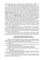 Vertybiniai popieriai šiuolaikinėje rinkoje 12 puslapis