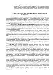 Vertybiniai popieriai šiuolaikinėje rinkoje 17 puslapis