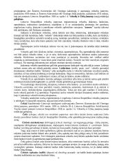 Vertybiniai popieriai šiuolaikinėje rinkoje 10 puslapis